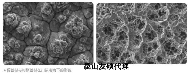 莆田蔡司莆田扫描电镜